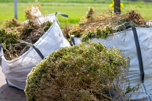 Best Shed Removal  in Harlan, IN